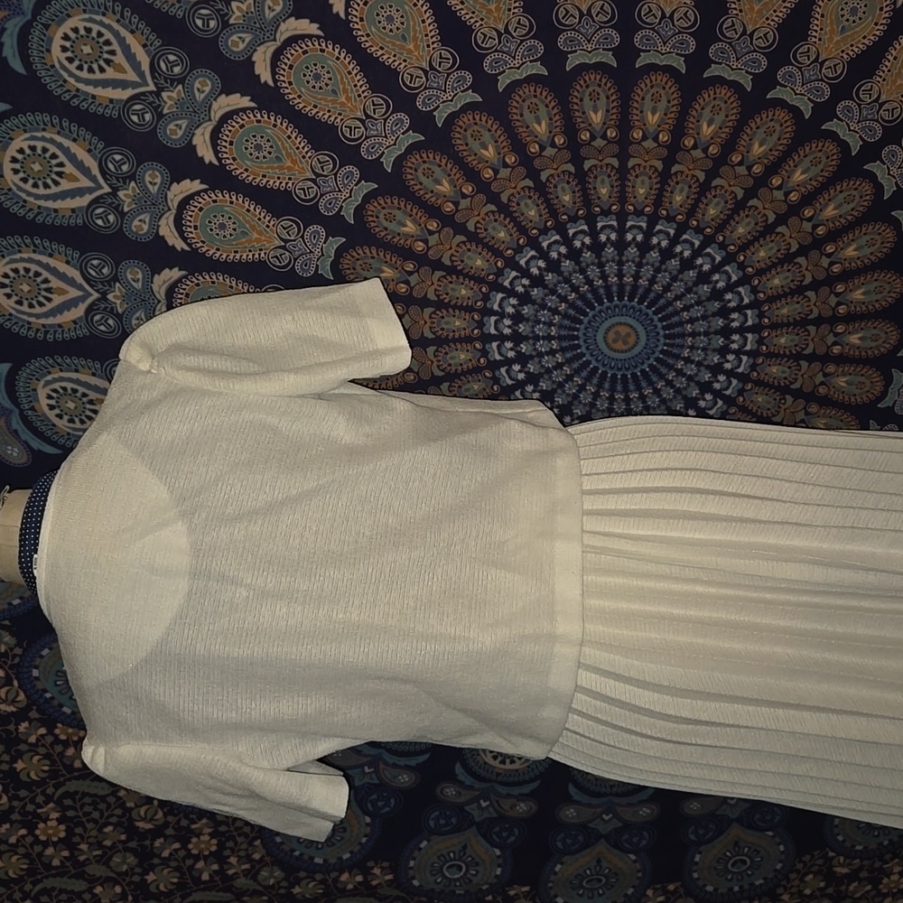Berg Ray vintage dress size 8, early 80's - Picture 7 of 9